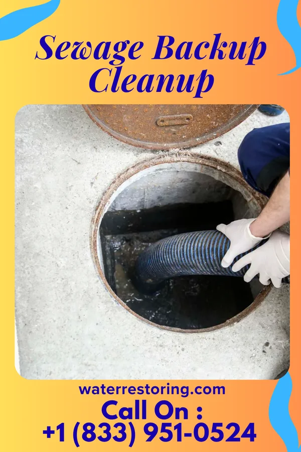 Sewage Backup Cleanup in Fostoria, OH